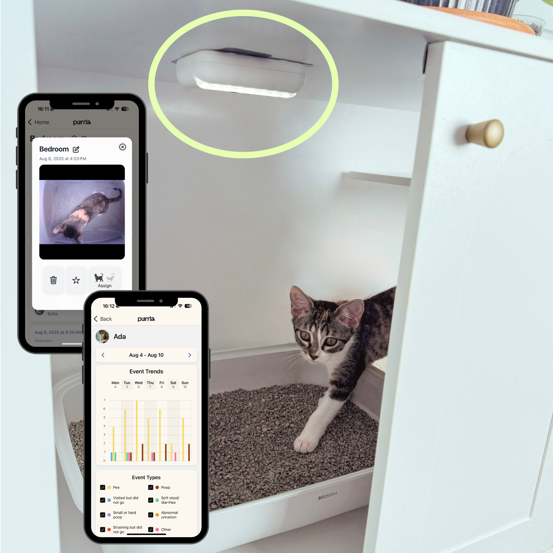 AI Camera monitoring a cat