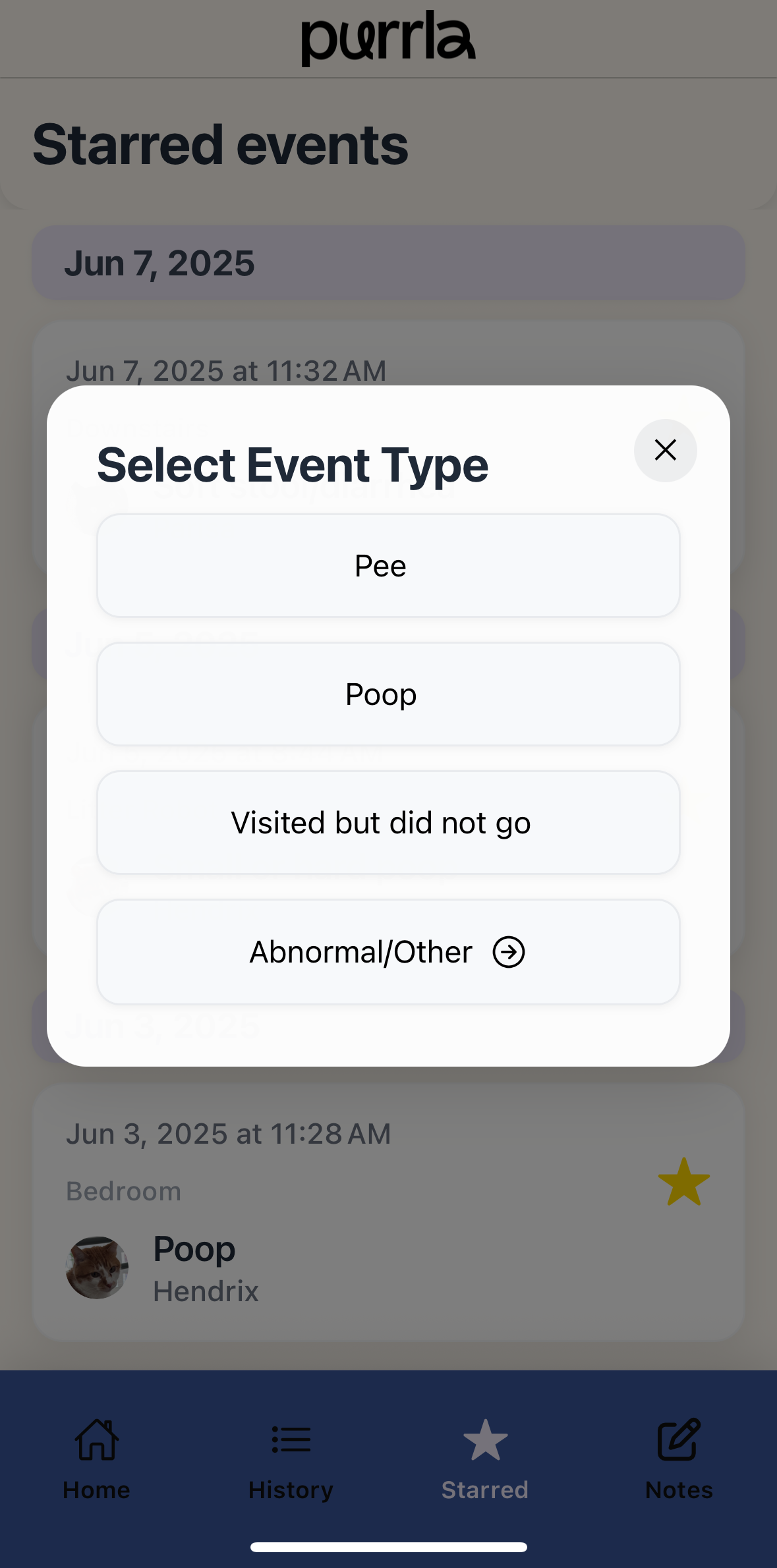Purrla app screenshot 4