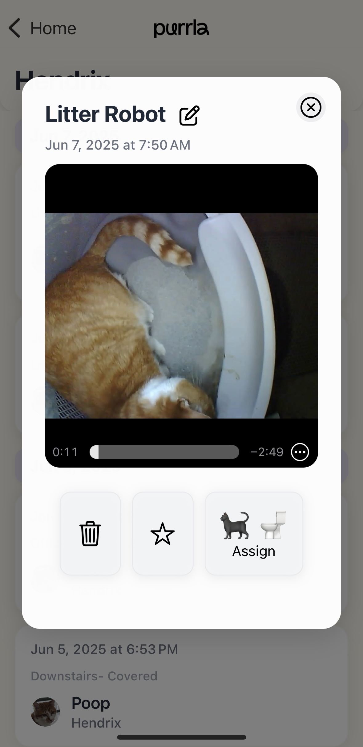 Purrla app screenshot 5