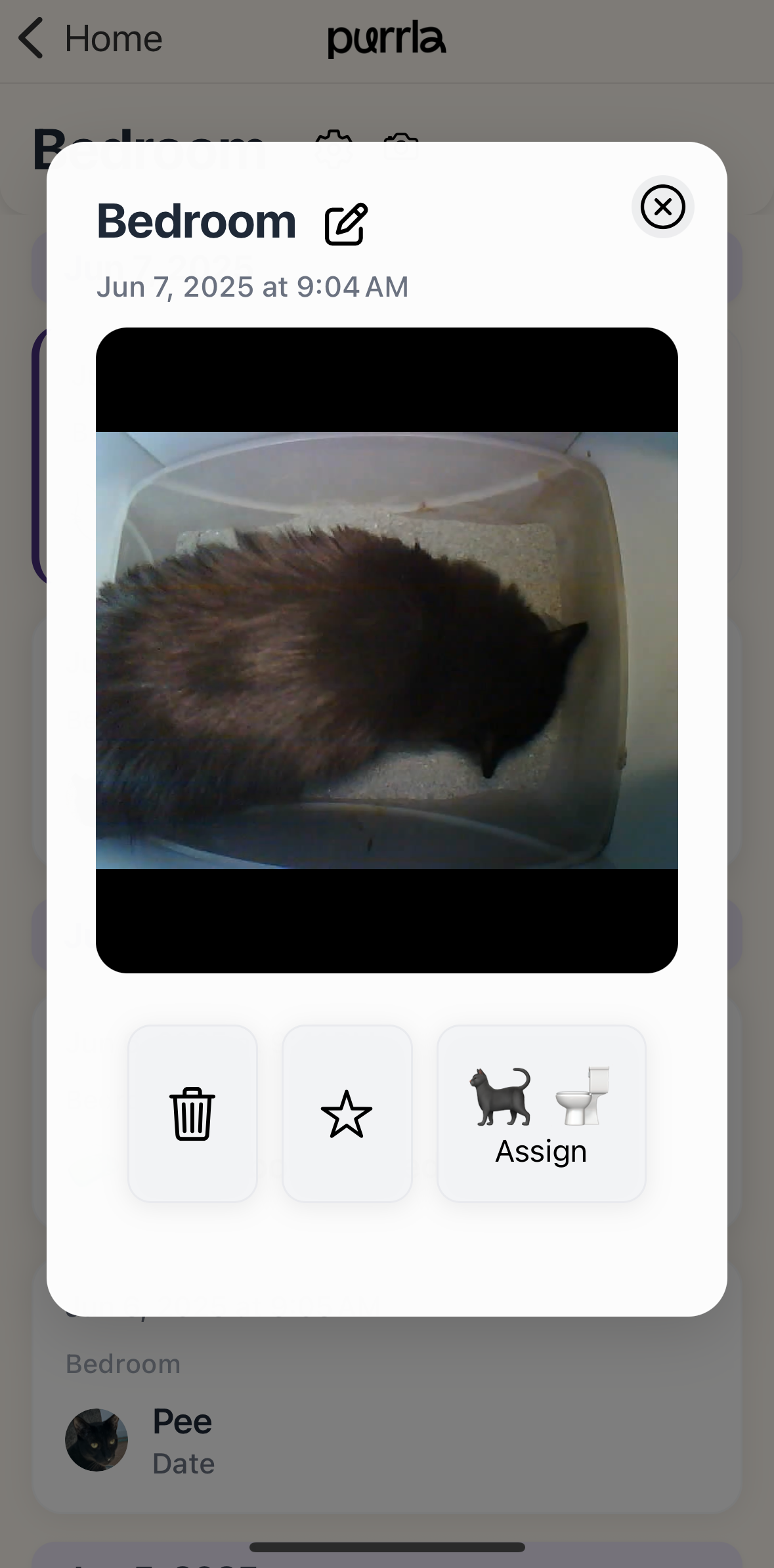 Purrla app screenshot 6