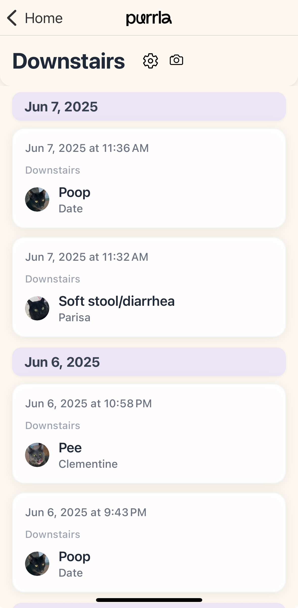 Purrla app screenshot 7